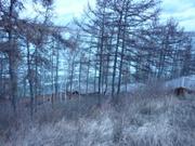 Продам базу отдыха оз. Беле