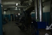 Продаю бизнес - производство семечек