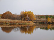 Продается лесной участок с прудом.