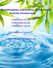 Коагулянты,  Флокулянты,  Биопрепараты,  Реагенты,  Химия. Псков