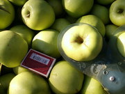 Плодоносящий яблоневый сад в Крыму 4, 8 Га (документы готовы)