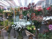 Продажа магазина цветов